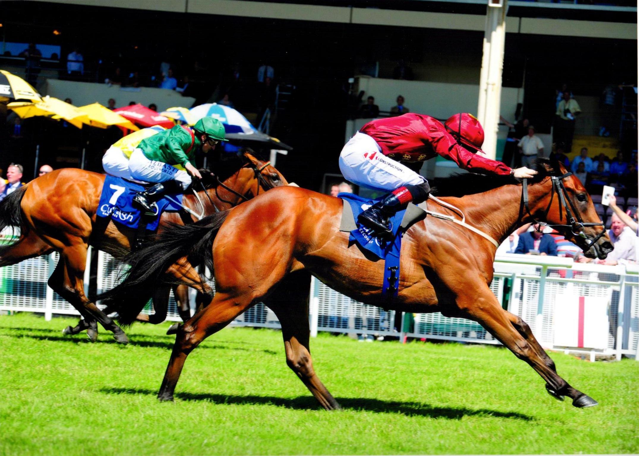 VELVETEEN lands her maiden in style at The Curragh fo Qatar Racing 17th July 2016